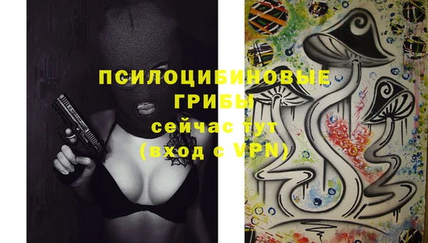 ПСИЛОЦИБИНОВЫЕ ГРИБЫ Волоколамск