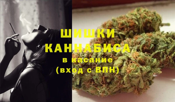 мяу мяу мука Вязьма