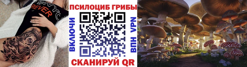 Псилоцибиновые грибы мухоморы  Купить закладки  Ростов 